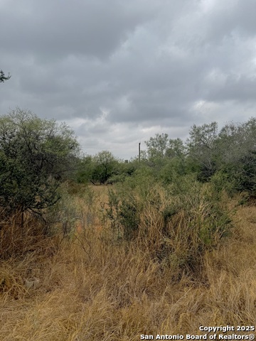103 Oleander Property Photo 7