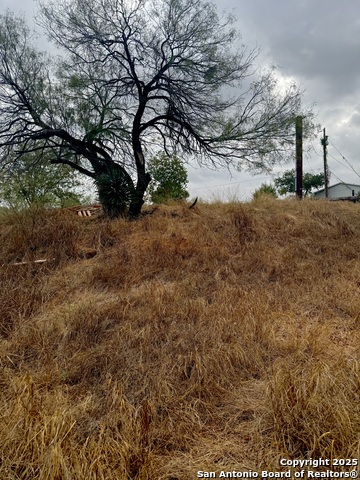103 Oleander Property Photo 8