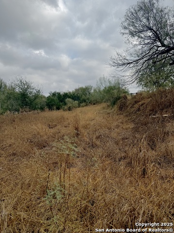 103 Oleander Property Photo 9