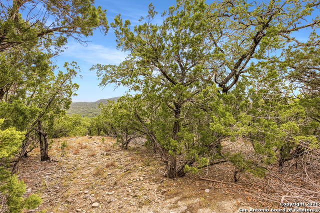 Lot 3 Hills Of Bandera Property Photo 11