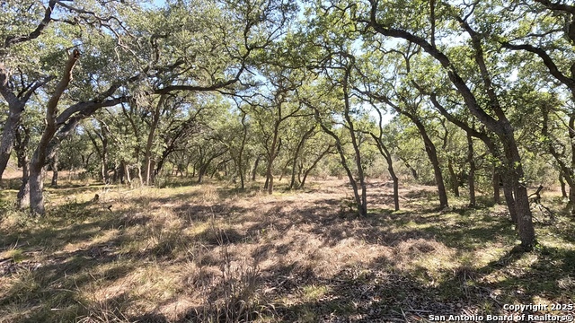 34672 Ansley Ridge Property Photo 1