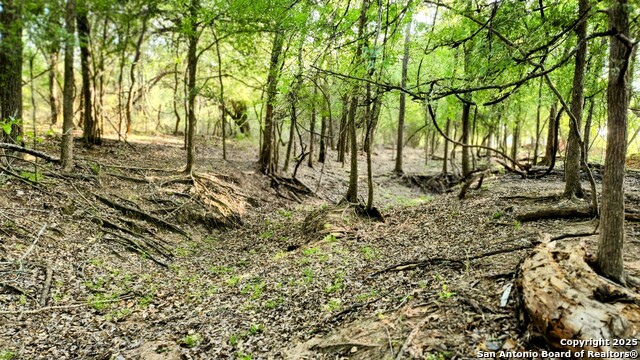 618 Mesquite Pass Property Photo 10