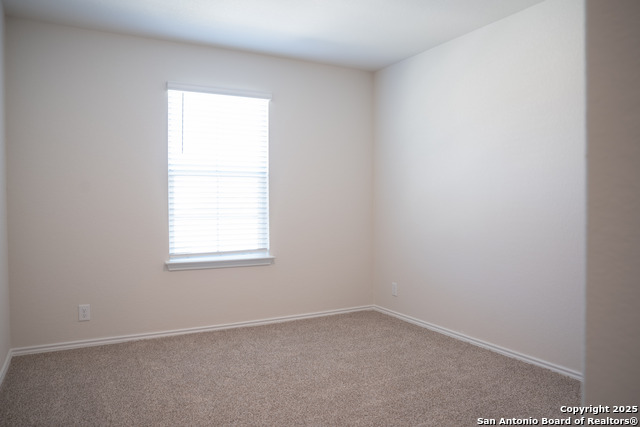 5903 Cosmic Crisp Property Photo 13