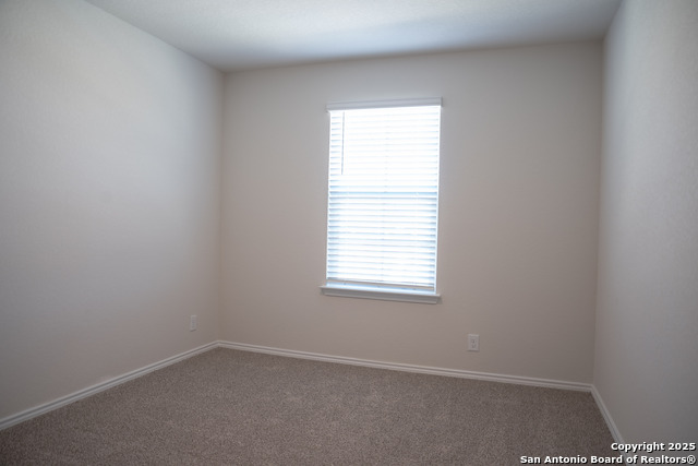 5903 Cosmic Crisp Property Photo 15