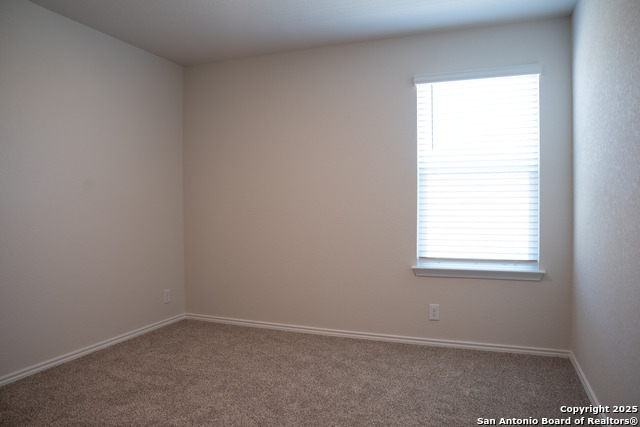 5903 Cosmic Crisp Property Photo 16
