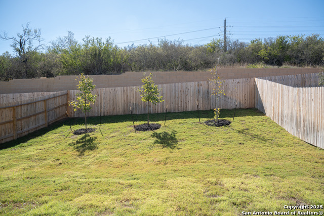 5903 Cosmic Crisp Property Photo 18