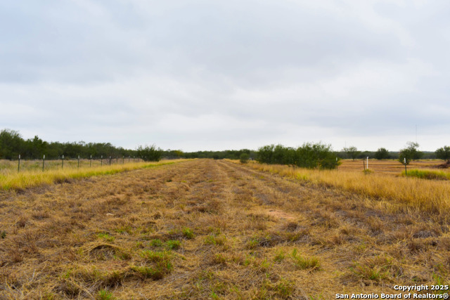 000 Jefferies Road Property Photo 8