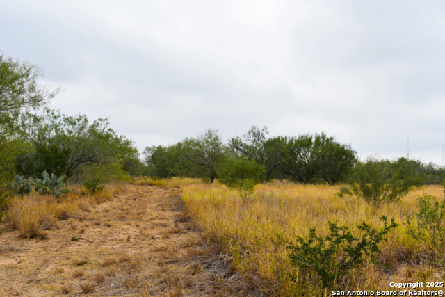 000 Jefferies Road Property Photo 12