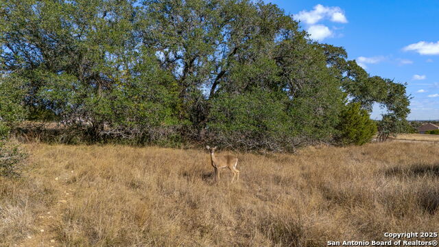 231 Peter Kleid Loop Property Photo 10