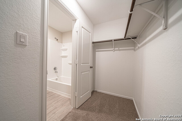 2818 Gustavo Property Photo 17