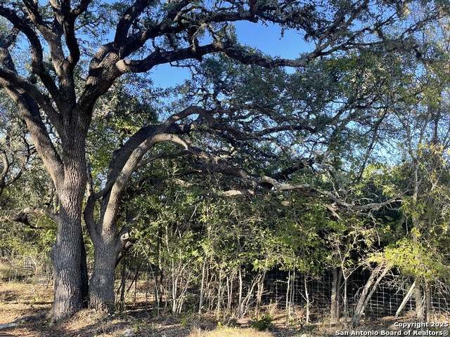 30685 Rice Property Photo 17