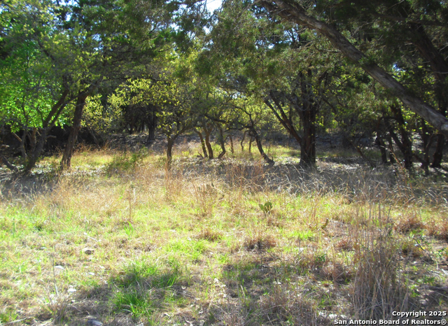 2024 Fm 3424 Property Photo 2