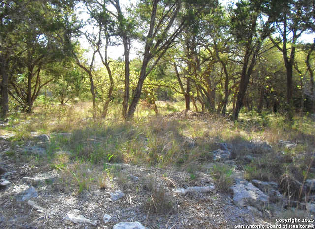 2024 Fm 3424 Property Photo 3