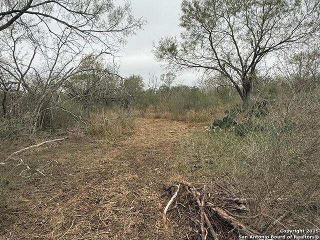 Tbd Gidley Property Photo 16