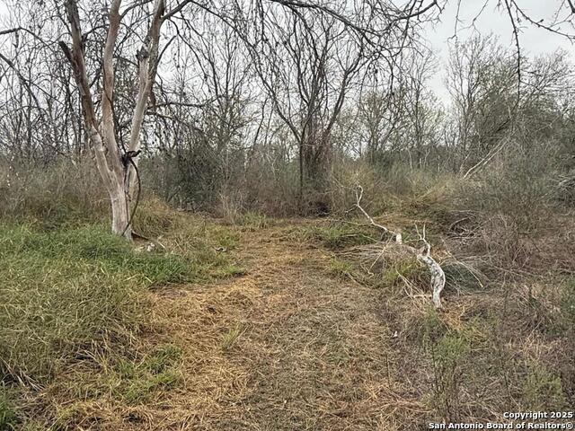 Tbd Gidley Property Photo 19