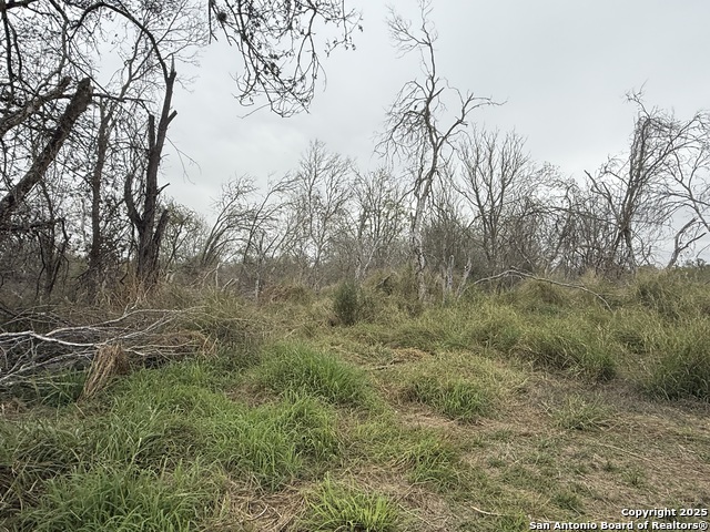 Tbd Gidley Property Photo 20