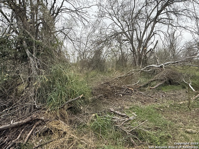 Tbd Gidley Property Photo 21