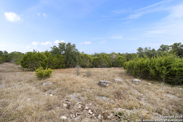 137 Red Tail Cv Property Photo 6