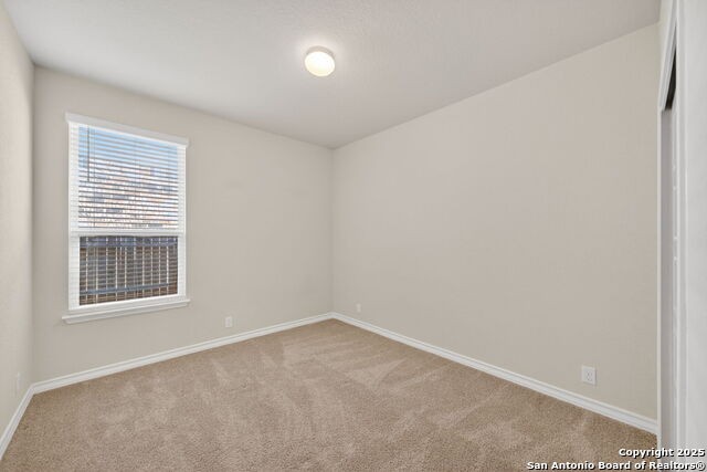 8211 Samsel Property Photo 21