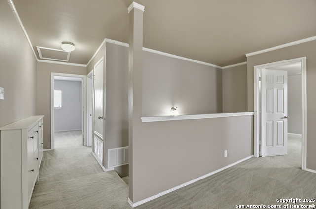 115 Venezia Property Photo 22