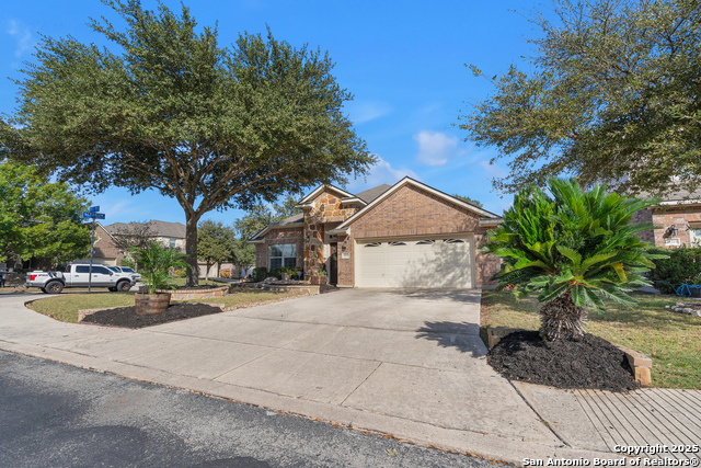 11727 Iris Way Property Photo 18