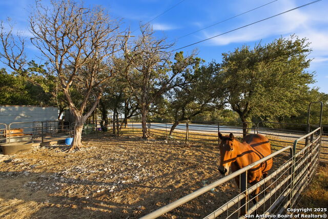 18668 Bandera Property Photo 5