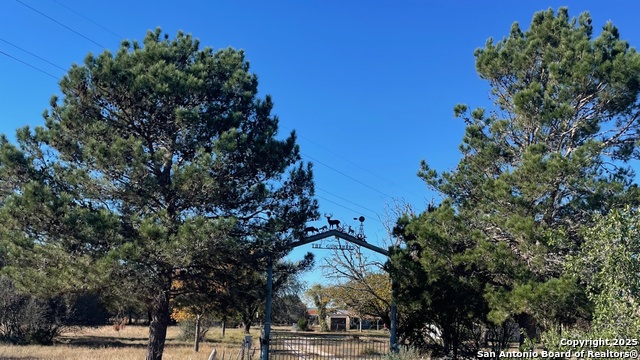 190 Gunther Property Photo 32