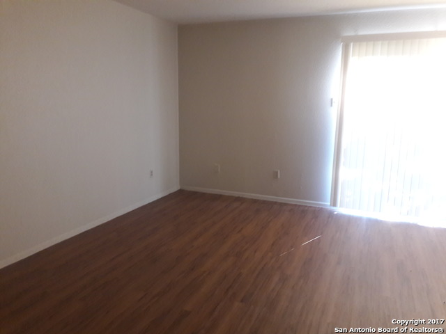 13202 Larkwalk Dr. Property Photo 10