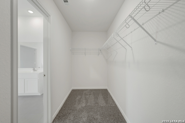 3019 Wembley Way Property Photo 26