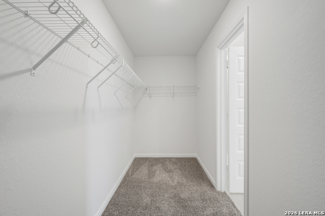 3019 Wembley Way Property Photo 27