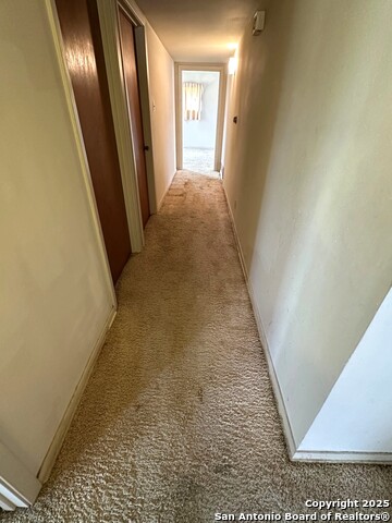 305 Rittiman Property Photo 4