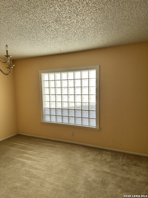 6664 Snow Meadow Property Photo 17