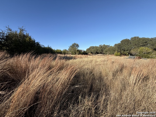 0000 Dog Run Property Photo 5