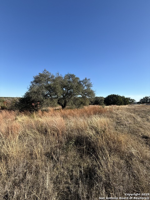 0000 Dog Run Property Photo 6