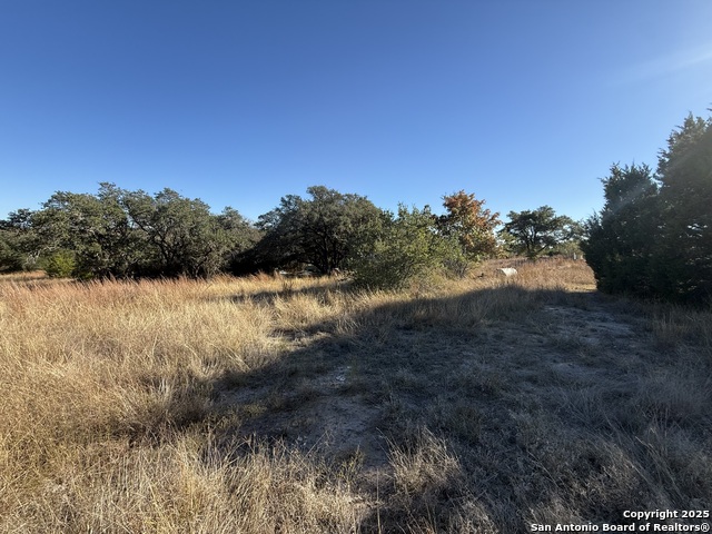 0000 Dog Run Property Photo 9