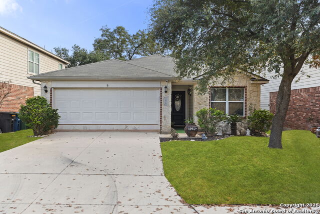 3826 Alpine Aster Property Photo 1