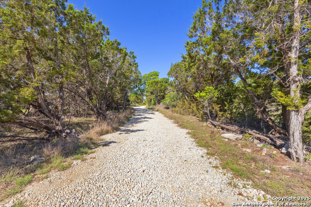 0 Forest Lake Property Photo 2