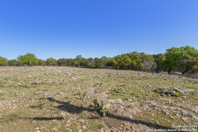 0 Forest Lake Property Photo 3