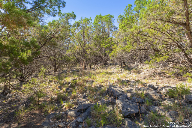 0 Forest Lake Property Photo 4