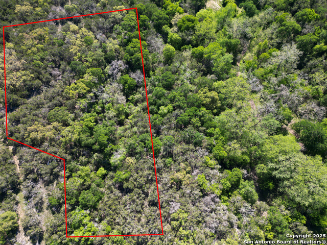 0 Forest Lake Property Photo 9