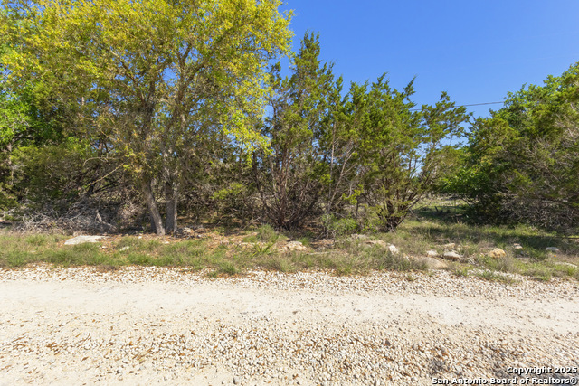 0 Forest Lake Property Photo 10