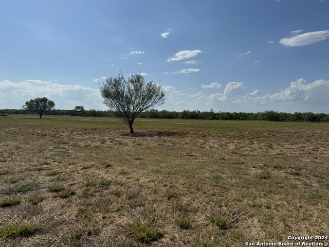 4303 Us Highway 83 Property Photo 2
