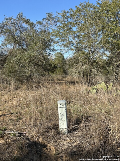 Tract 4 1580 Hickory Lane Property Photo 2