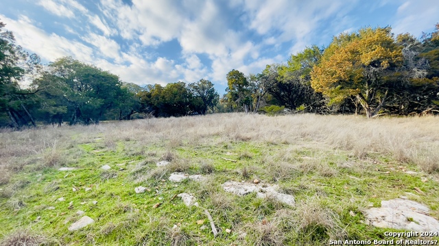 26714 Rockwall Property Photo 6