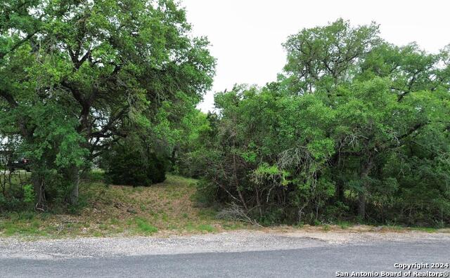 Lot 270 Forest Clfs Property Photo 2