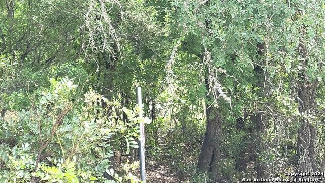 Lot 270 Forest Clfs Property Photo 6