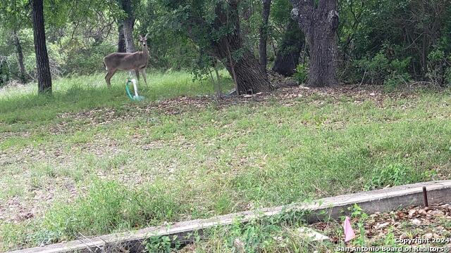 Lot 270 Forest Clfs Property Photo 8