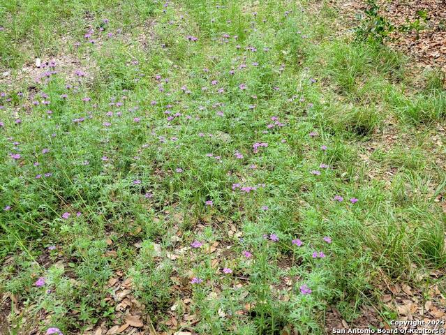 Lot 270 Forest Clfs Property Photo 9