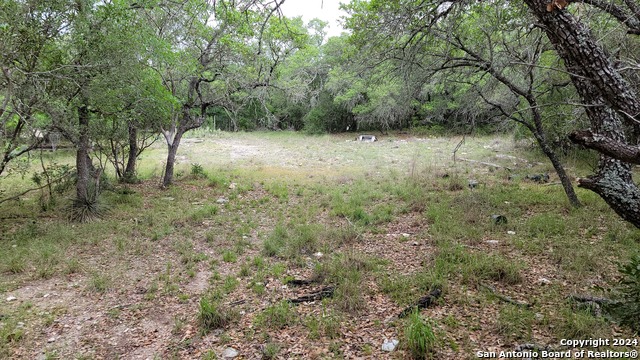 Lot 270 Forest Clfs Property Photo 12