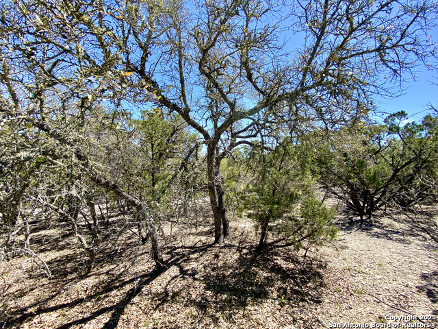 Lot 345 Pr 1747 Property Photo 5